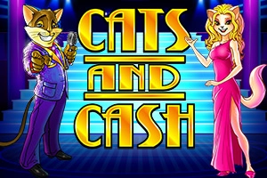 16383 cats and cash